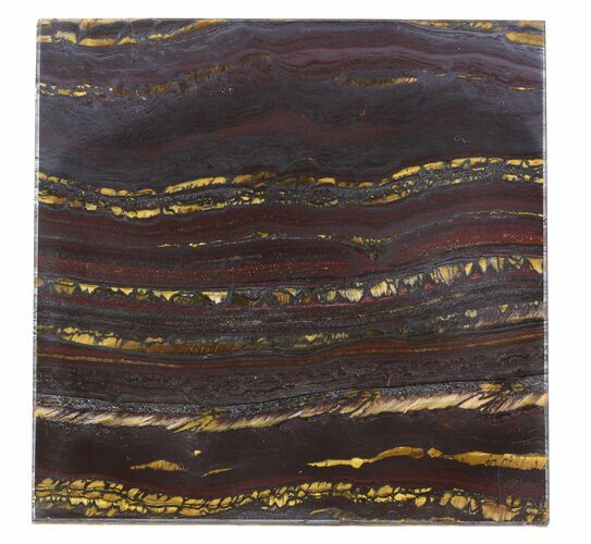 Tiger Iron Stromatolite Shower Tile - Billion Years Old #48789